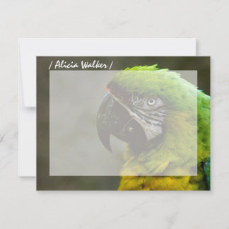 Parrot Photo Personalised Flat Note Cards
