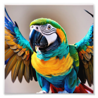 Parrot Photo Print