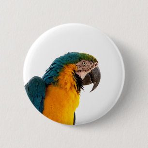 Parrot Post-it Notes 6 Cm Round Badge