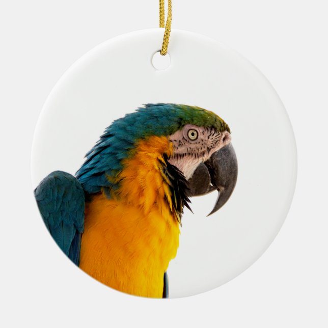 Parrot Post-it Notes Ceramic Tree Decoration (Front)