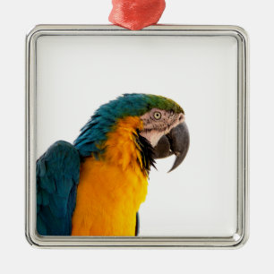 Parrot Post-it Notes Metal Tree Decoration