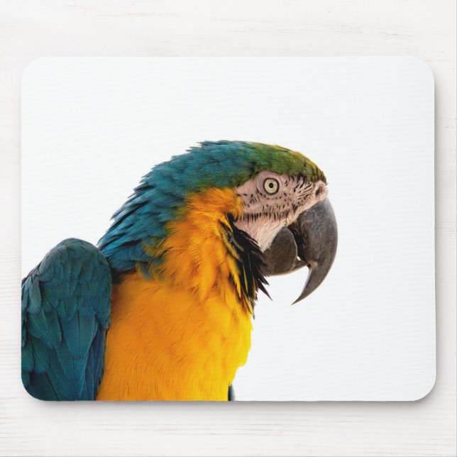 Parrot Post-it Notes Mouse Pad (Front)