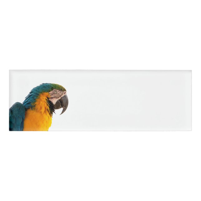 Parrot Post-it Notes Name Tag (Front)