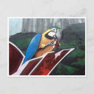 parrot postcard
