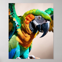 Parrot 