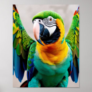 Parrot poster