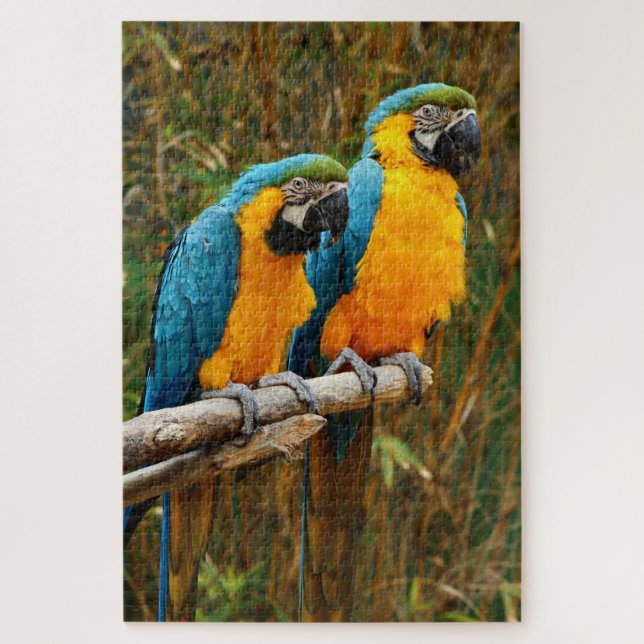 Parrot Puzzle (Vertical)