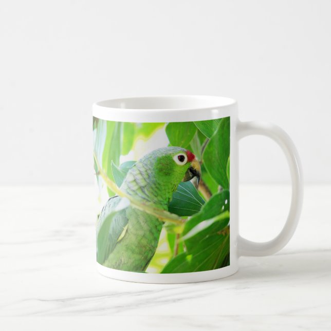 Parrot, Rio Chagres, Panama Coffee Mug (Right)
