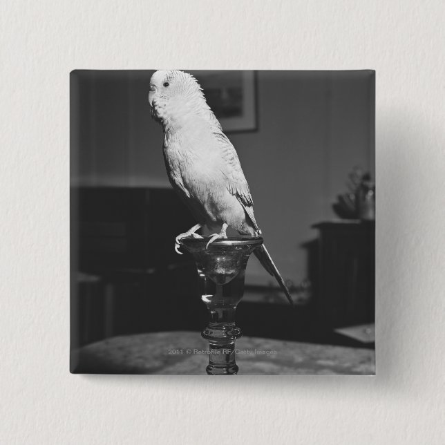 Parrot sitting on candlestick B&W 15 Cm Square Badge (Front)