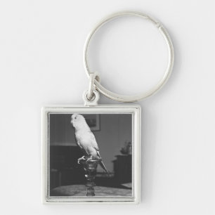 Parrot sitting on candlestick B&W Key Ring