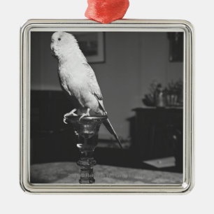 Parrot sitting on candlestick B&W Metal Tree Decoration