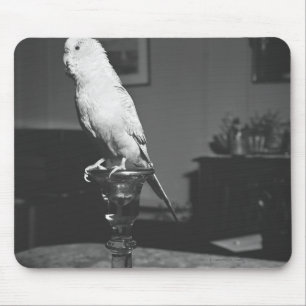 Parrot sitting on candlestick B&W Mouse Pad