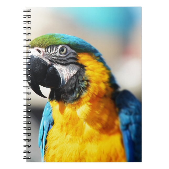 parrot spiral notebook (Front)