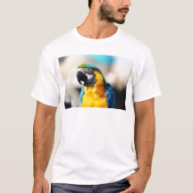 parrot