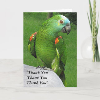 Parrot Thank You