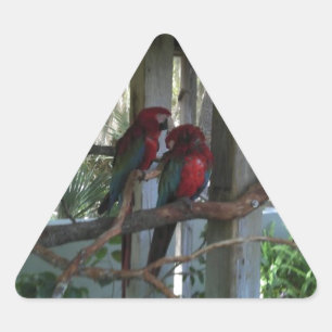 Parrot Triangle Sticker