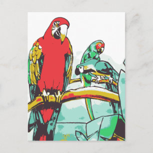 Parrot Trio Postcard