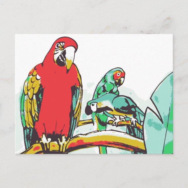 Parrot Trio Postcard (Front)