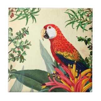 PARROT TROPICAL BIRD 8 TILE