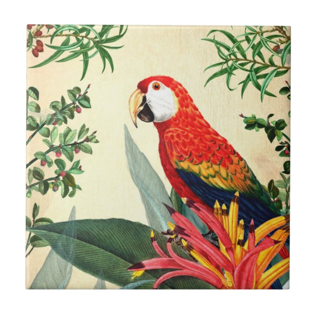 PARROT TROPICAL BIRD 8  TILE (Front)