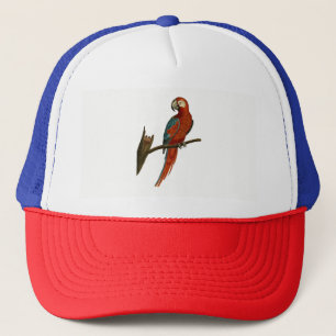 Parrot Trucker Hat