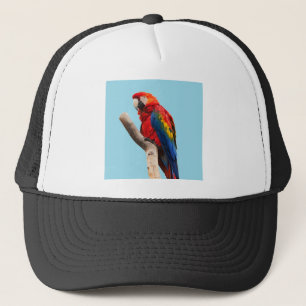 Parrot Trucker Hat
