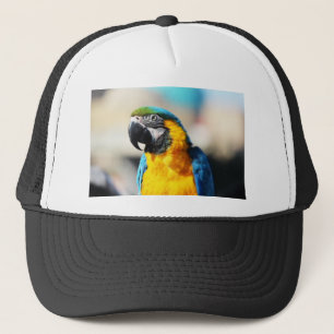 parrot trucker hat