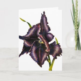 Parrot Tulip Card