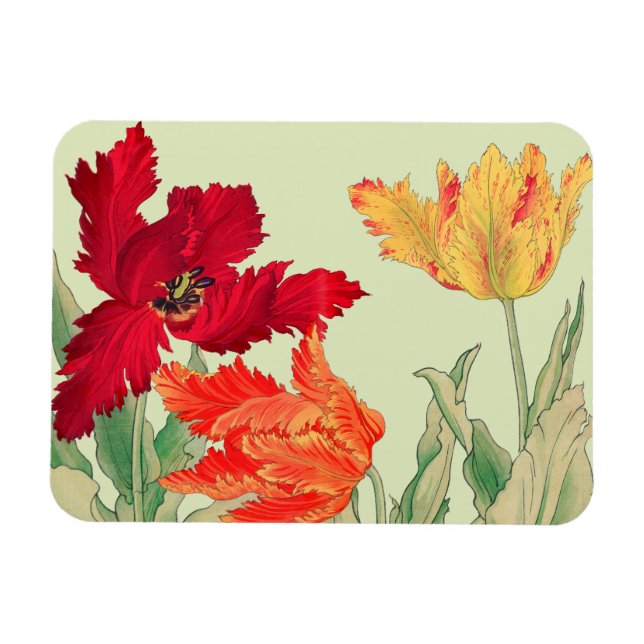 Parrot tulip, Floral  Magnet (Horizontal)