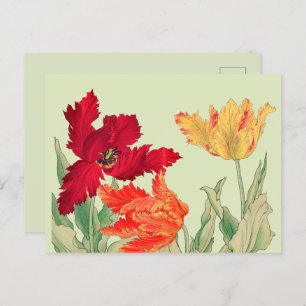 Parrot tulip, Floral Postcard