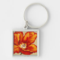Parrot Tulip I