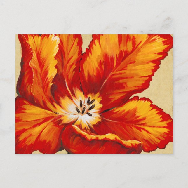Parrot Tulip I Postcard (Front)
