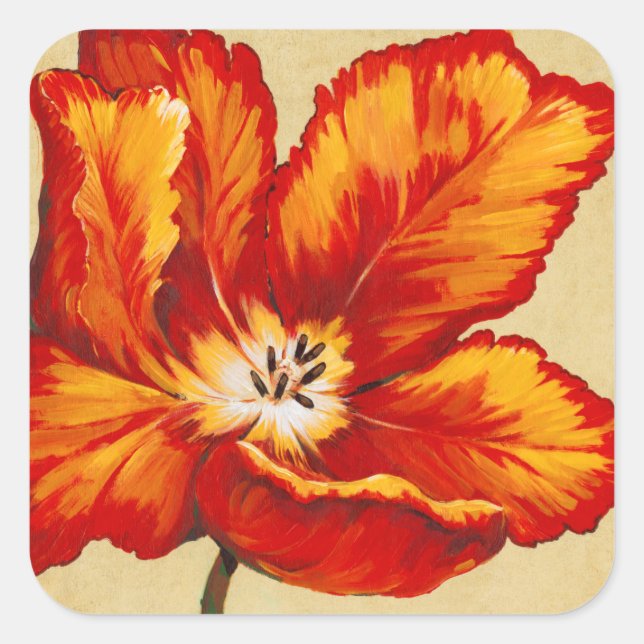 Parrot Tulip I Square Sticker (Front)