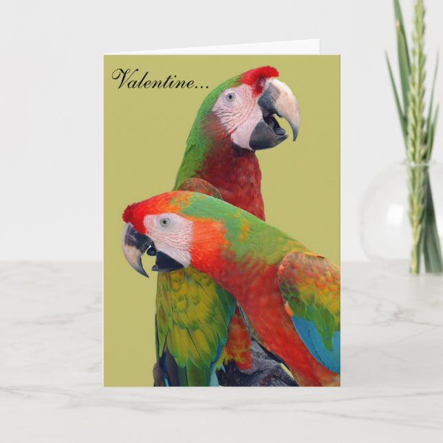 Parrot Valentine Card 007 (Front)