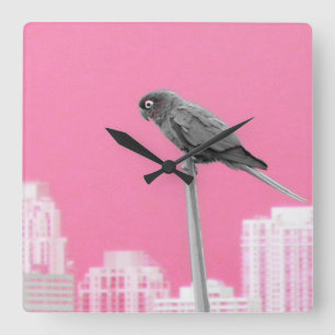 ~Parrot~ WALL CLOCK, PINK, CUSTOMIZE IT! Square Wall Clock