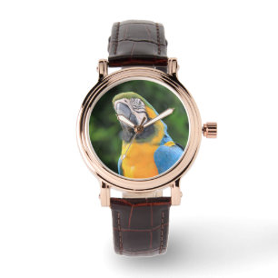 Parrot Watch