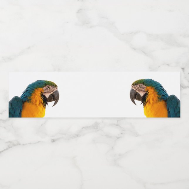 Parrot  water bottle label (Single Label)