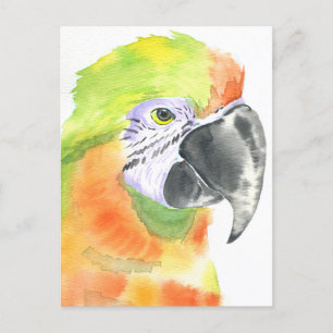 Parrot watercolor postcard