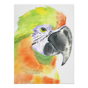 Parrot watercolor poster