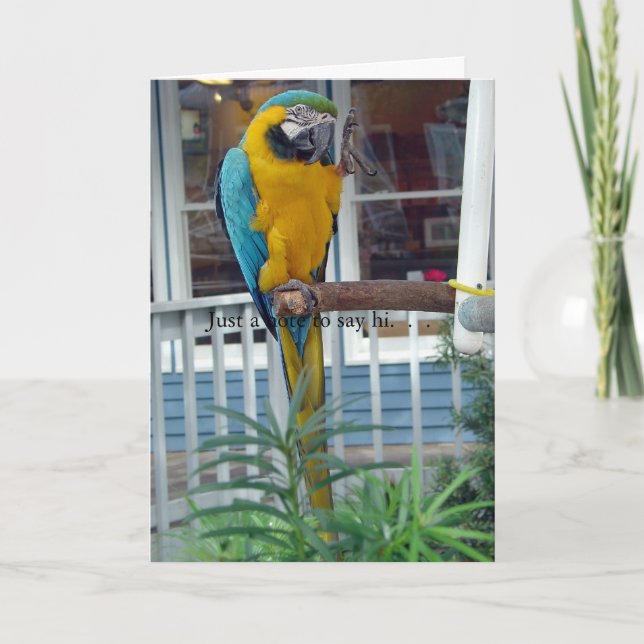 Parrot Waving Hello Card- Just a note to say hi... Card (Front)