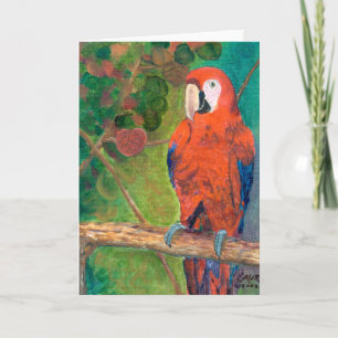 Parrot with Seagrapes Card