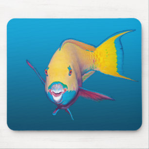 Parrotfish Close-up! Gradient blue background Mouse Pad