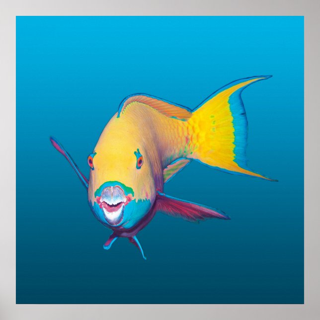 Parrotfish Close-up! Gradient blue background |  Poster (Front)