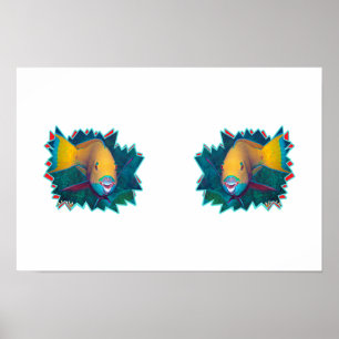 Parrotfish * Starburst Photo Design Poster