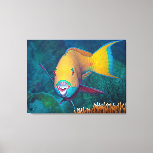 Parrotfish - Striking Make-Up! Colourful photo |  Canvas Print (Front)