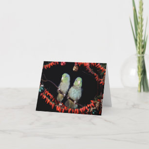 ParrotletsHoliday Card