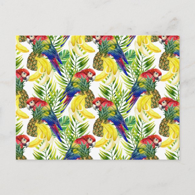 Parrots And Tropical Fruit Postcard (Front)
