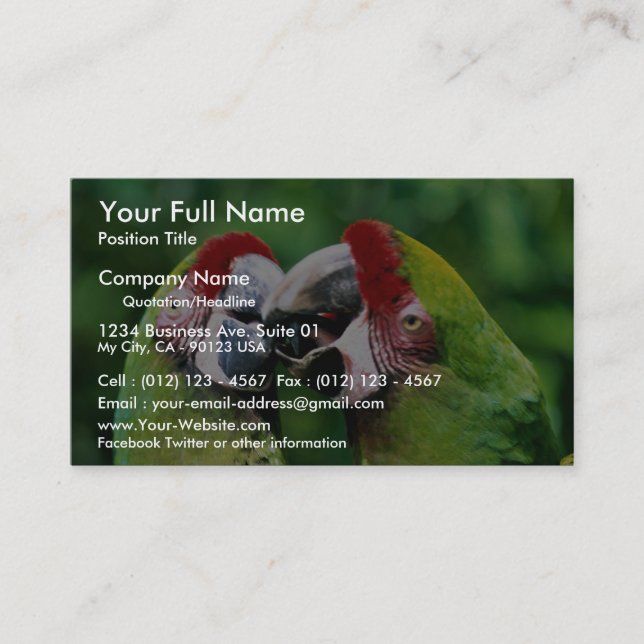 Parrots Business Card (Front)