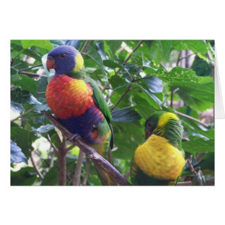 Parrots Card