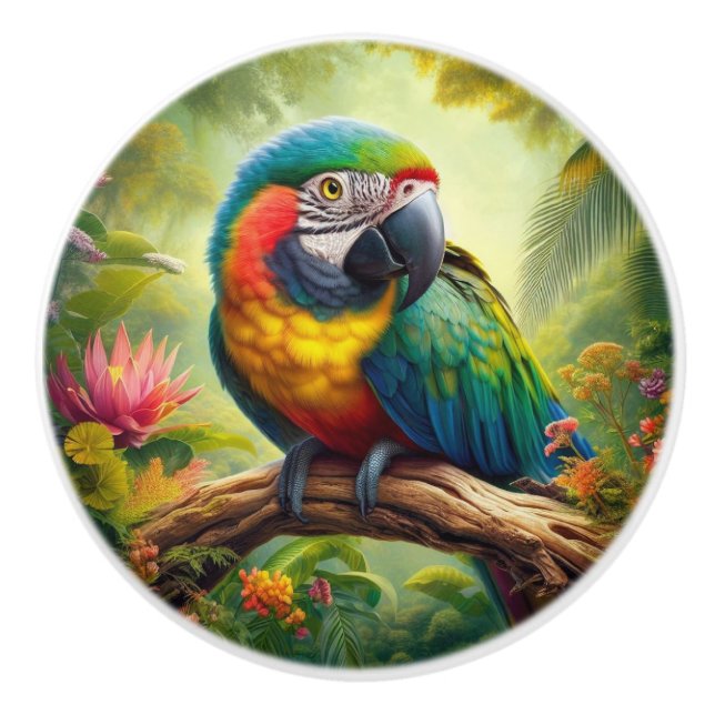 Parrots Colourful Tropical Ceramic Knob (Front)